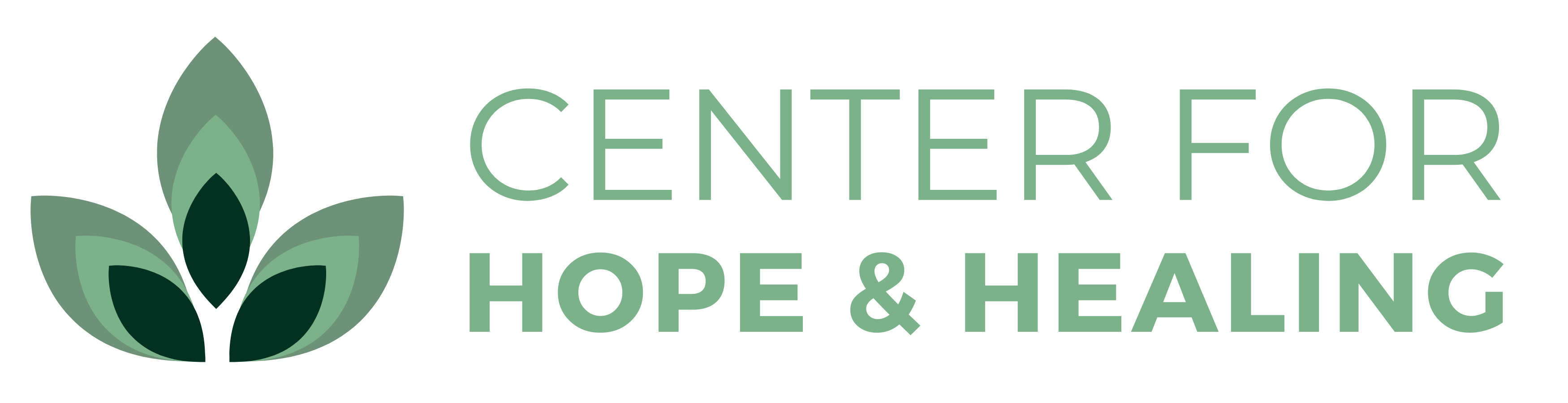 Center for Hope and Healing